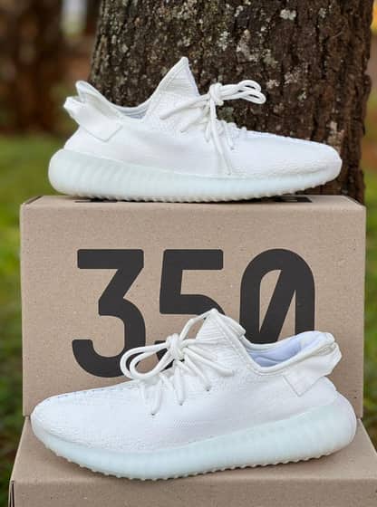 38 ao 43